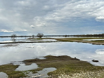 Рязанское море: фото разлива Оки