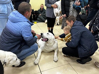 В Рязани проходит выставка собак «Содружество»