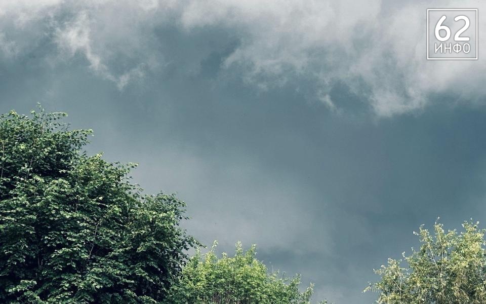 В Рязанской области 29 июня обещают до +30 и грозу - 62ИНФО