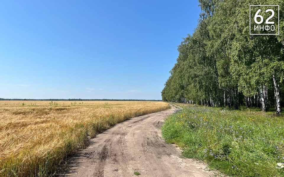 Рекорд: рязанские аграрии собрали 3,2 млн тонн зерна и 700 000 тонн масличных - 62ИНФО