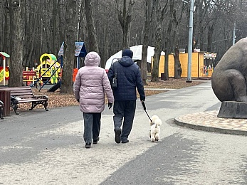 Где в Рязани гулять с собакой: официальные площадки и запрещенные места для выгула 