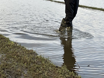 Уходящая натура: фото разлива Оки