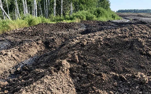 В Сапожковском округе выявили загрязнение почвы на участке сельхозназначения