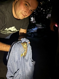 Рязанцы спасли везучего и полезного сокола-пустельгу