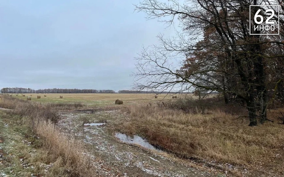 Уходим в минус: в Рязанской области 8 апреля ждут мокрый снег с гололедицей - 62ИНФО