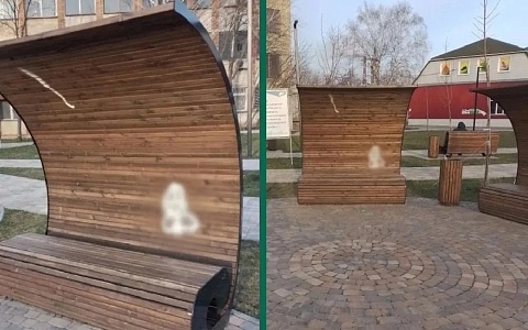 В Пронске вандалы изуродовали скамейку