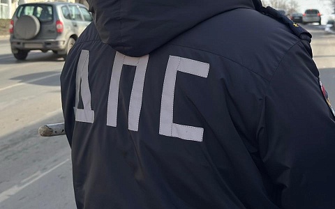 Госавтоинспекция провела занятие для школьников в Михайловском районе 