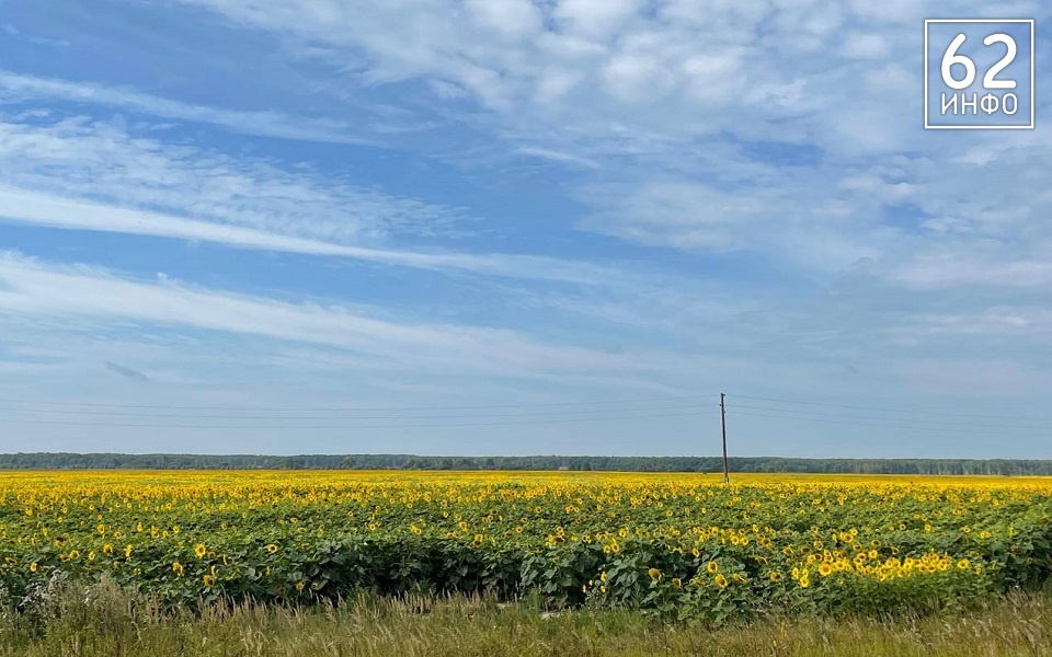 В Рязанской области 22 августа прогнозируют от +8 до +28°С - 62ИНФО