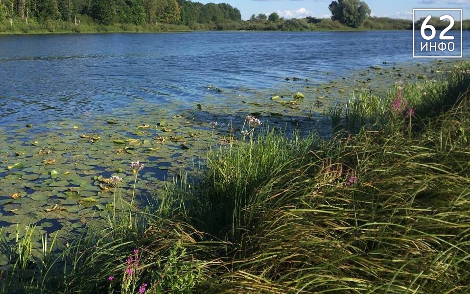 МЧС: три человека утонули в Рязанском регионе за неделю - 62ИНФО