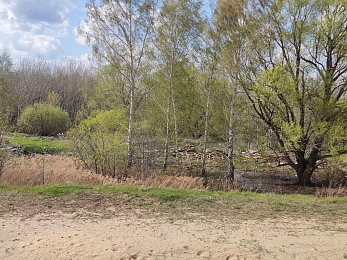 Очевидцы сообщили о несанкционированной свалке у Солотчинского моста