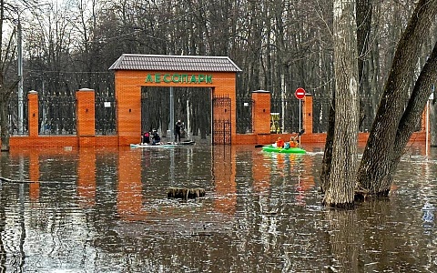 Фоторепортаж: жители оседлали волны рязанского Лесопарка Фоторепортаж: жители оседлали волны рязанского Лесопарка