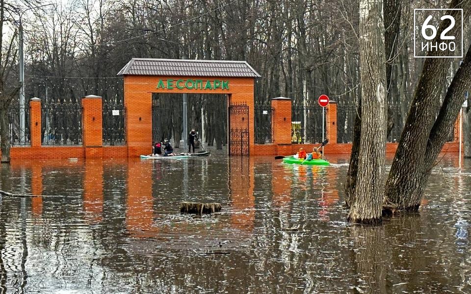 Фоторепортаж: жители оседлали волны рязанского Лесопарка - 62ИНФО