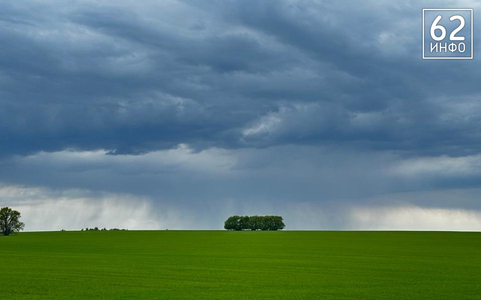 Рязанцам пообещали пасмурный и грозовой четверг - 62ИНФО
