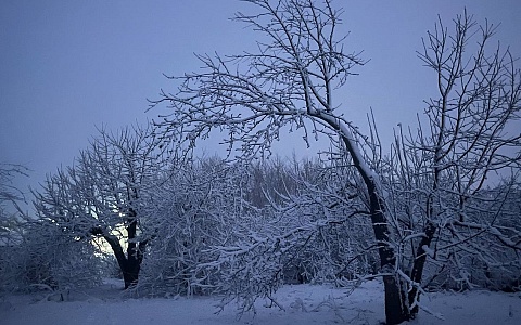 МЧС выпустило метеопредупреждение для рязанцев на 1 февраля
