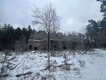 В рязанском лесу сфотографировали заброшки и лестницу в никуда - 62ИНФО В рязанском лесу сфотографировали заброшки и лестницу в никуда