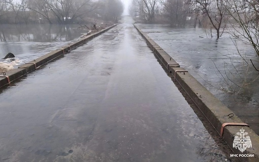 Мокша и Ермишь топят окрестности: паводок в Рязанской области 2 апреля