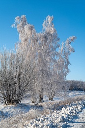 Рязанская епархия показала фотографии митрополита Марка - 62ИНФО Рязанская епархия показала фотографии митрополита Марка