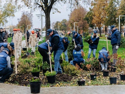 Рязанский губернатор Малков высадил рябину в сквере у новой стелы 