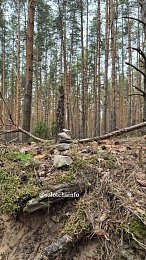 В Солотче обнаружили «аллею сейдов»