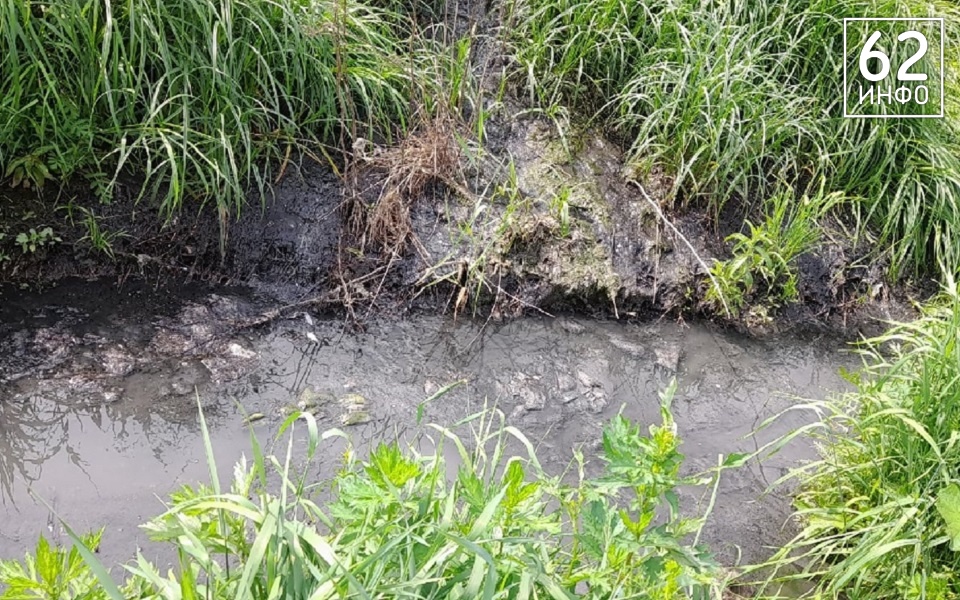 Житель Александрово Рязанского района показал канализационный ручей - 62ИНФО