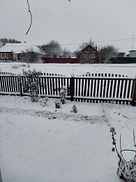 Рязанцы делятся фото первого снегопада в городе и в лесу