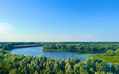 Плавающие фонтаны, сап-турниры и пляж: взгляд в будущее Борковского затона 