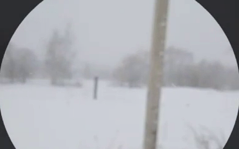 "Ложилась в снег отдохнуть": в Рязани дети идут в школу через снежную целину 