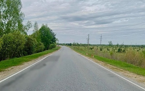 В праздничные дни в ДТП на дорогах Рязанской области пострадали 25 человек