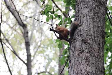 Фото с площадки 62ИНФО на Дне города в ЦПКиО