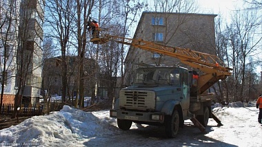 В Рязани спилили 24 дерева