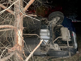 Рязанец на Kia вылетел с дороги под Рязанью