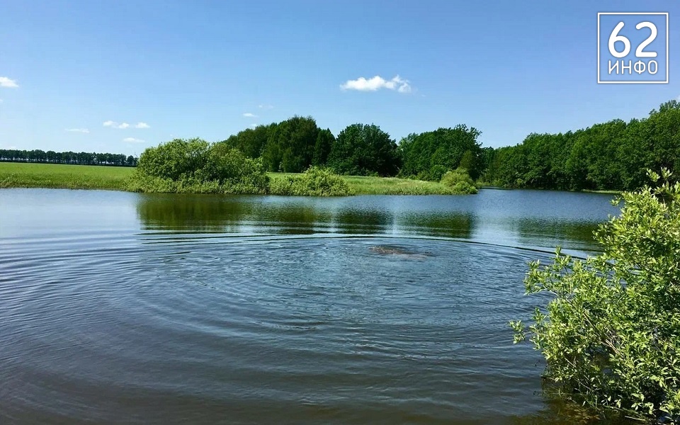 Тело пропавшего в Михайловском районе 5-летнего мальчика нашли в реке Проня - 62ИНФО