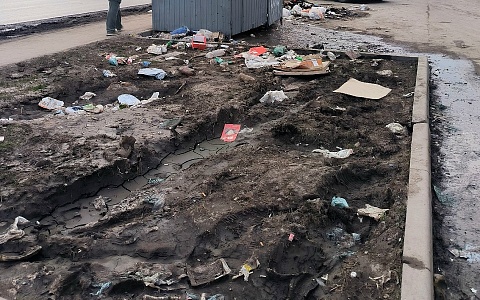  Рязанцы жалуются на грязь в городе после зимы