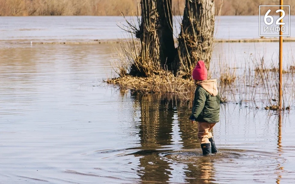 МЧС: в Рязанской области 20 марта ждут подтопления в двух районах - 62ИНФО