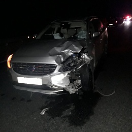 В Сасовском районе в ДТП погиб 15-летний пассажир мотоцикла