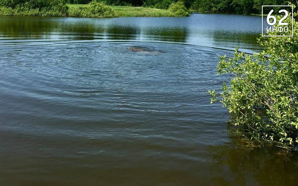 Опубликованы подробности смерти мужчины в Рыбновском районе  - 62ИНФО Опубликованы подробности смерти мужчины в Рыбновском районе  - 62ИНФО