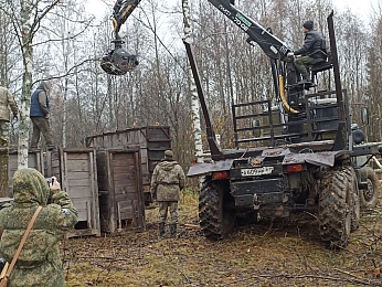 Шесть рязанских зубров передали на волю в Смоленскую область