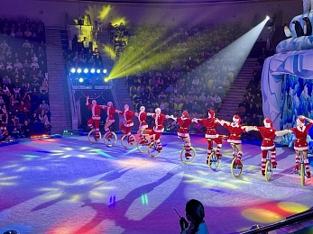 Рязанский цирк представил ледовое шоу «Айсберг»