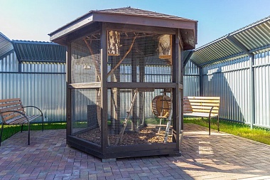 Застройщик «Зелёный сад» подвёл итоги работы исправительного центра в Шумаши 