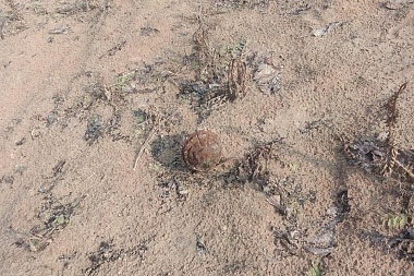 Под Рязанью нашли осколочную гранату