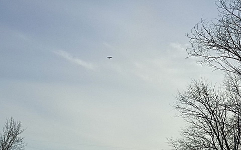 В регионе отменили и вновь ввели режим угрозы БПЛА