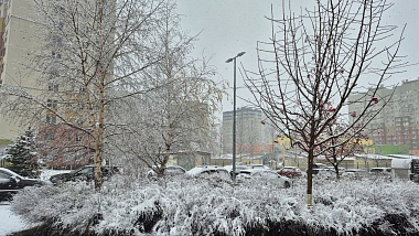 Фоторепортаж: в Рязани 15 ноября выпал первый снег