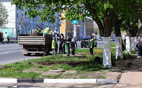 В мэрии Рязани рассказали о благоустройстве города