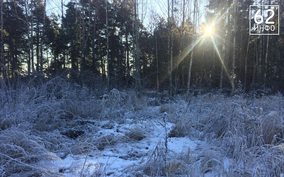 В Рязанской области 27 ноября похолодает до -8 градусов - 62ИНФО