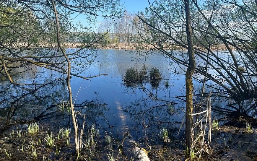 Идем на рекорд: в Рязанской области 13 марта заметно потеплеет