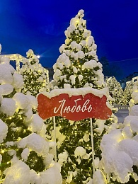 Снег и гирлянды превратили Рязань в новогоднюю открытку