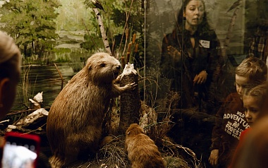 В Рязанском историческом музее открылась выставка «Зубастые истории»