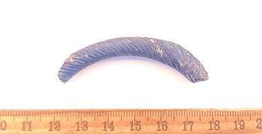 Археологи на раскопках в Старой Рязани нашли загадочный предмет