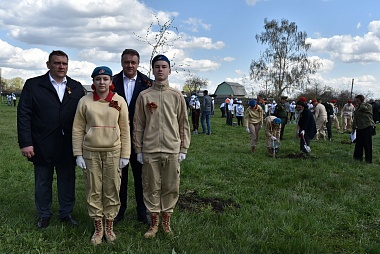 Любимов поучаствовал в высадке берёз в Михайловском районе