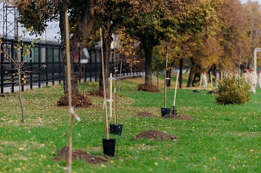 Губернатор Павел Малков присоединился к высадке деревьев в сквере «Рязань – город Трудовой Доблести»
